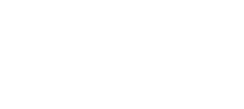 Logotipo CONNECT FD